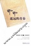 那么那么遥远的青春 封面