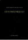 北京市文物研究所藏明志拓片 封面
