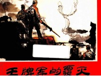 王牌军的覆灭 封面