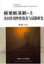 桥梁桩基桩  土共同作用性状仿真与试验研究 封面