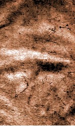 闺媛典  第29-33卷 封面