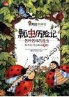 瓢虫历险记  各种各样的昆虫 封面
