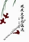 延庆文学作品选 封面