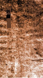 姓觿  卷8-10 封面