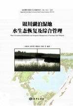 银川湖泊湿地水生态恢复及综合管理 封面