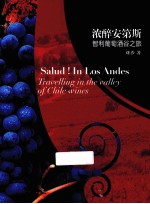 浓醉安第斯  智利葡萄酒谷之旅 封面
