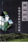 青山白化治理技术研究与实践 封面