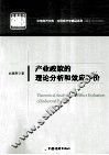 产业政策的理论分析和效应评价 封面