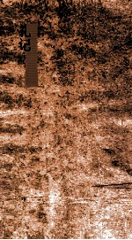 特牲馈食礼弟  15  礼14-17 封面