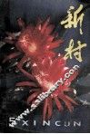新村  1981年  第5期 封面