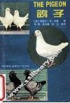 鸽子 封面