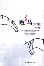 贩马 封面
