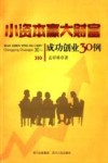 小资本赢大财富  成功创业30例 封面
