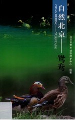 自然北京  鸳鸯 封面