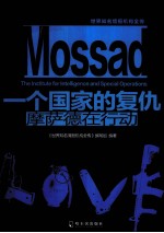 一个国家的复仇  摩萨德在行动 封面