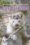 怎样办好养貂场 封面