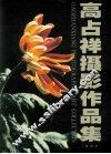 高占祥摄影作品集  菊花卷 封面