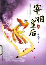 宰相皇后  上 封面