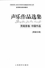声乐作品选集  男高音卷  中国作品  简谱分册 封面