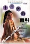 十月怀胎百科 封面