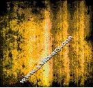 世界优秀VI·标志·图形设计3500例 封面