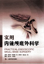 实用内镜颅底外科学 封面