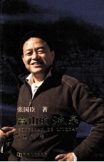 嵩山的流泉  理论卷 封面