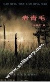 老青毛 电子书封面