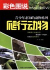 彩色图说青少年必知的动物系列  爬行动物 封面