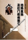 结肠直肠及肛门疾病图谱 封面