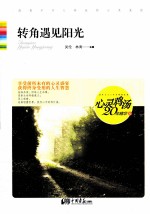 心灵鸡汤20年精华  转角遇见阳光 封面