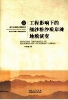 工程影响下的细沙粉沙质岸滩地貌演变 封面
