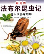 最美的法布尔昆虫记  音乐演奏家蟋蟀 封面