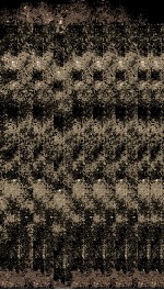 历代名臣奏议  卷之21  郊庙  13 封面