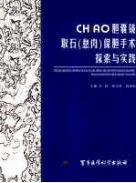 CHiAO胆囊镜取石（息肉）保胆手术探索与实践 封面