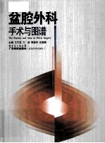 盆腔外科手术与图谱 封面