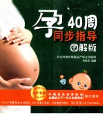 孕40周同步指导  图解版 封面