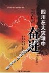 四川在大灾难中奋进  大学版 封面