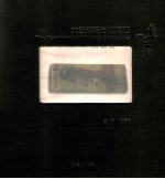 大自然走过的痕迹-鱼化石 封面