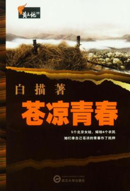 苍凉青春 封面