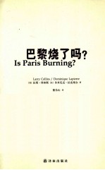巴黎烧了吗？ 封面