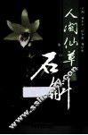 人间仙草  石斛 封面