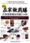 图解在家做药膳  疗病调理精品药膳234种 封面