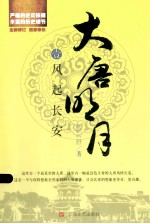 大唐明月之风起长安 封面