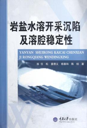 岩盐水溶开采沉陷及溶腔稳定性 封面