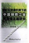 铁矿石资源约束下的中国钢铁工业可持续发展研究 封面