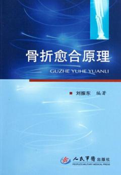 骨折愈合原理 封面