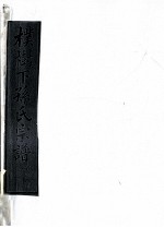 朴树下的孙氏宗谱  空字部  5 封面