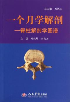 一个月学解剖  脊柱解剖学图谱 封面