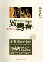 致我们终将逝去的青春 封面